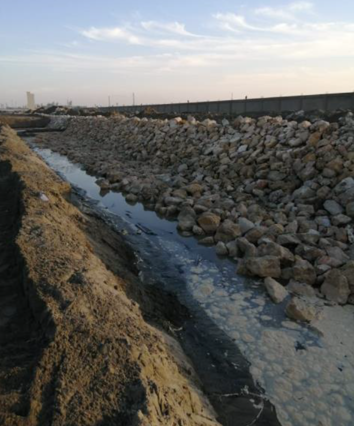 Protecting low coastal area from west strait of El-Gameel 2 to the west El- Deiba Village, phase I and phase II Port-Said governorate